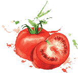 【测试版】最新的免费ddos平台攻击