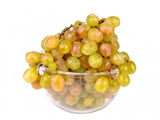 免费ddos在线攻击测试网站