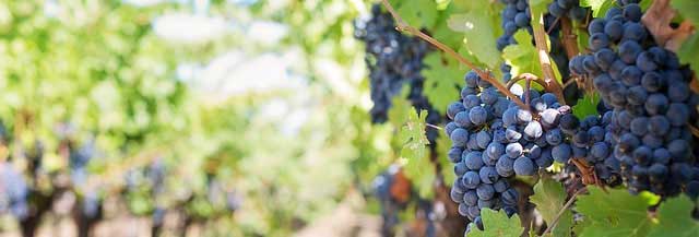 在线DDOS压力测试网页端